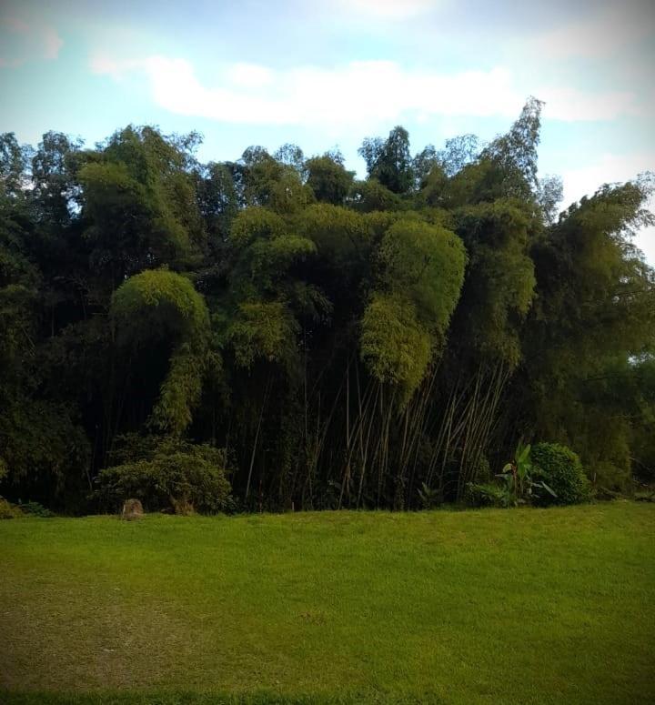 فندق Filandia - Finca Rural La Guadalupana المظهر الخارجي الصورة