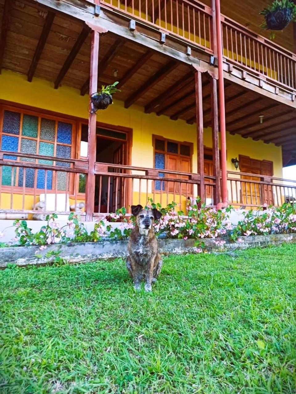 فندق Filandia - Finca Rural La Guadalupana المظهر الخارجي الصورة