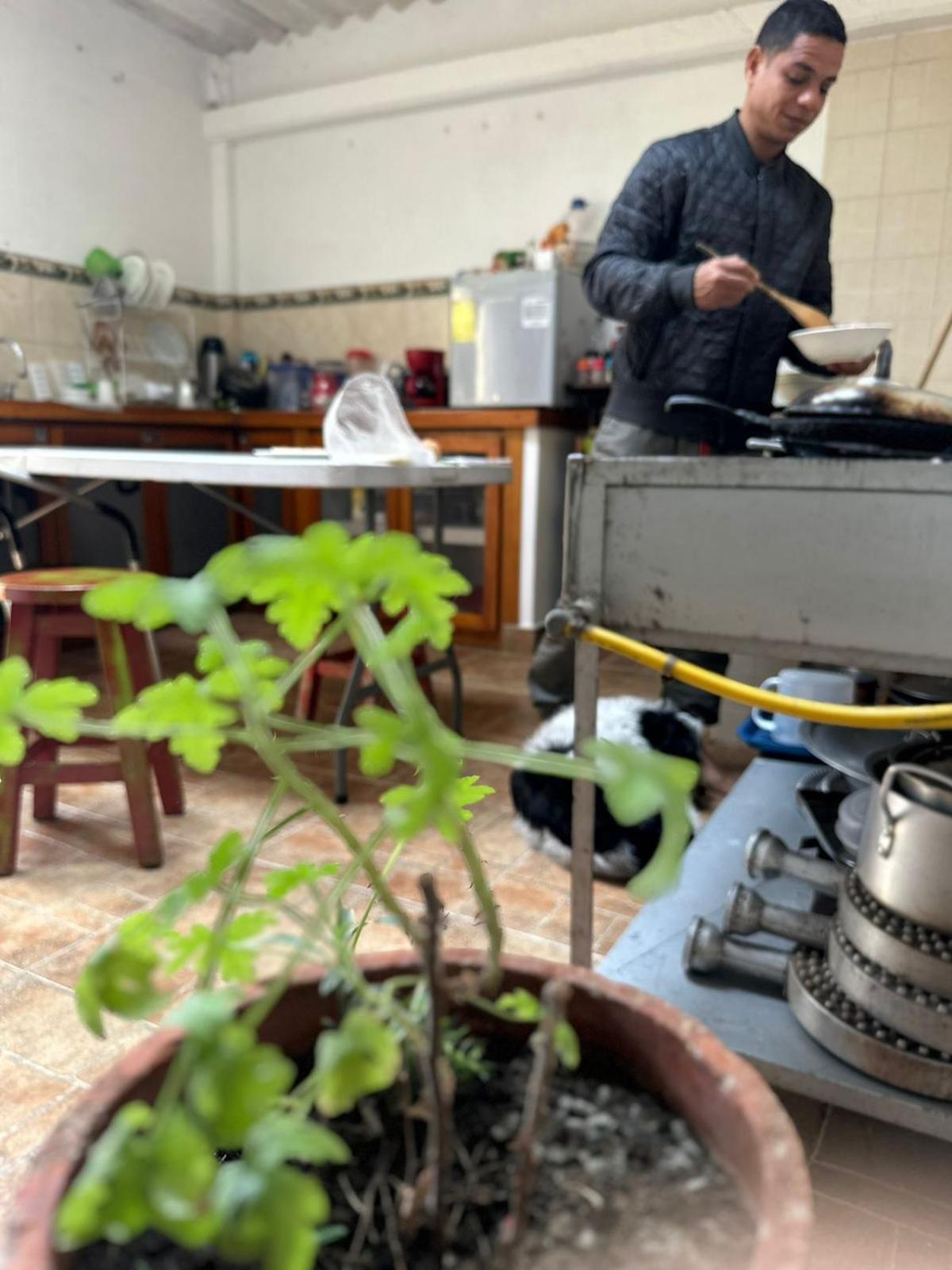 فندق Filandia - Finca Rural La Guadalupana المظهر الخارجي الصورة